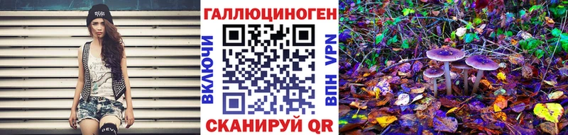 сайты даркнета телеграм  Невельск  Галлюциногенные грибы мицелий 